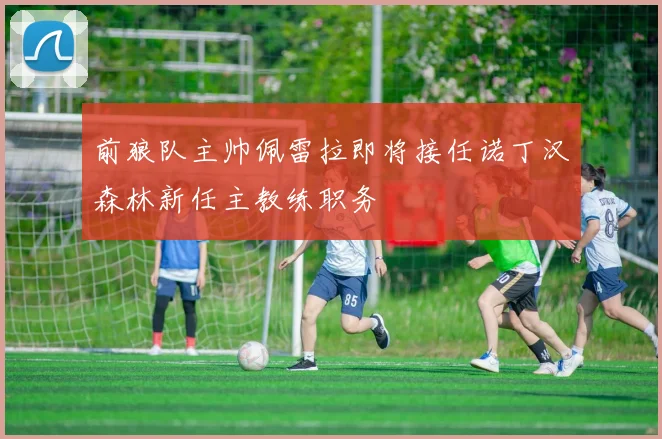 前狼队主帅佩雷拉即将接任诺丁汉森林新任主教练职务